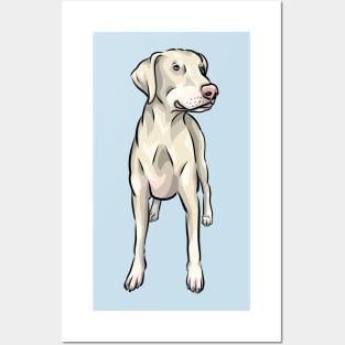 White Doberman Dog | Natural Ears Uncropped Posters and Art